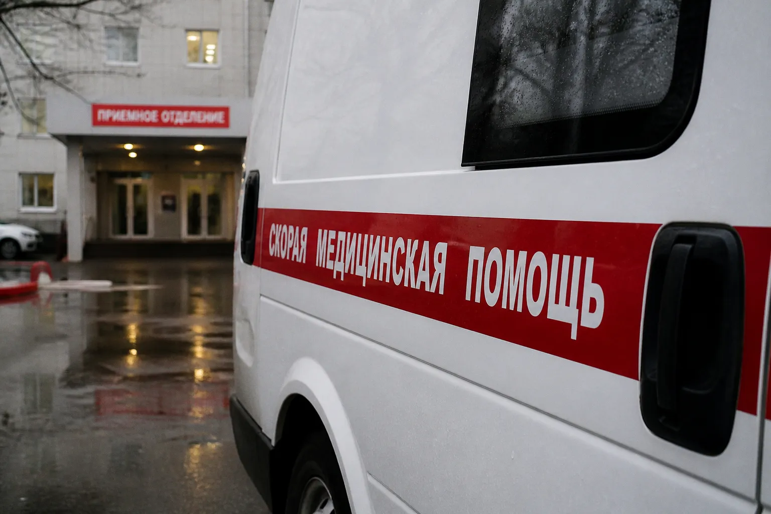 Мерцательная аритмия: почему перебои в сердце могут привести к инсульту